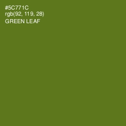 #5C771C - Green Leaf Color Image